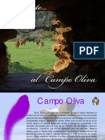 Campo Oliva Turismo