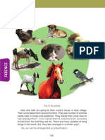 Biology: Fig 4.1 All Animals