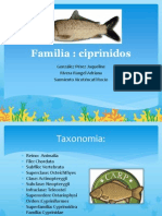 Familia Ciprinidos