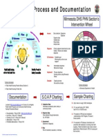 Nursing Process and Documentation: Nursing Process Minnesota DHS PHN Section's Intervention Wheel