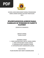 Download SEM TYPE CONTOH THESIS  by Anis Syafika SN194738907 doc pdf