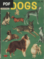 1.dog Breeds PDF | PDF | Terriers | Spaniels