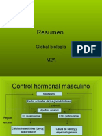 resumen biologia sexualidad