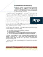 El Comité Paritario de Salud Ocupacional