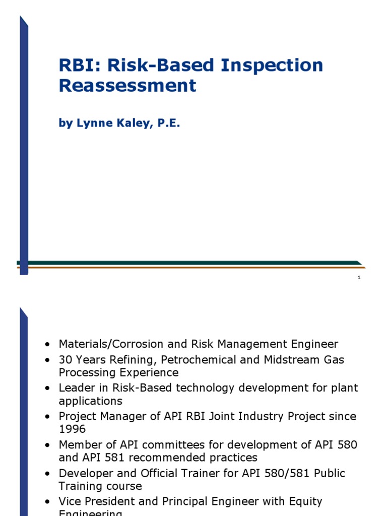 RBI for Plant Risk Management | PDF | Risk | Risk Management