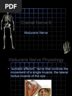 Download Cranial Nerve 6 7 and 8 short presentation by 3uvp SN19482096 doc pdf
