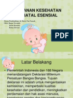 Pelayanan Neonatal Esensial