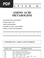 Download Amino Acid Metabolism by clesleon SN19484491 doc pdf