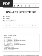 Download DNA and RNA Structure by clesleon SN19484541 doc pdf