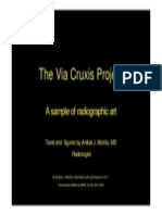 The Via Cruxis Project