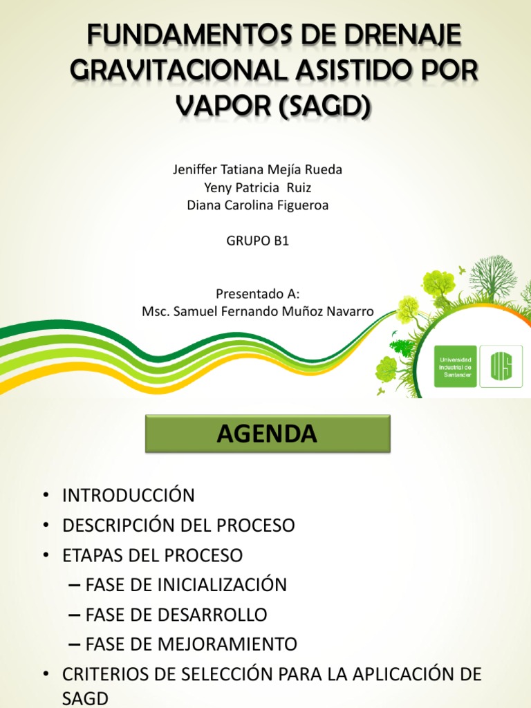 Fundamentos del SAGD en Petróleo Pesado | PDF | Petróleo | Agua subterránea