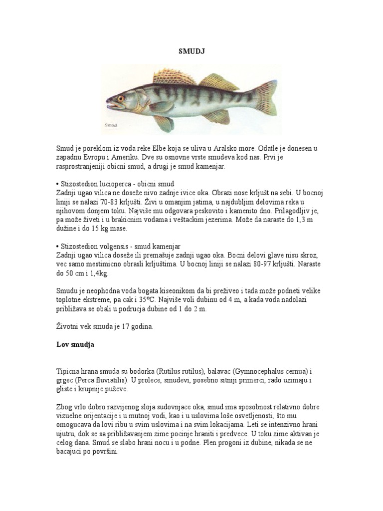 SMUDJ | PDF