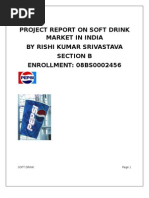 Download Project Report on Soft Drinks Market in India by srivastavarishi20045779 SN19495429 doc pdf