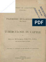 Tuberculosis in Cattle (1900)