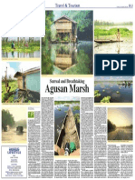 Surreal Agusan Marsh by Jojie Alcantara Published Dec 28 2010 Manila Bulletin