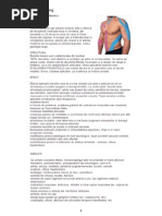 Download Kinesio Taping by Emily Ramos SN195033947 doc pdf