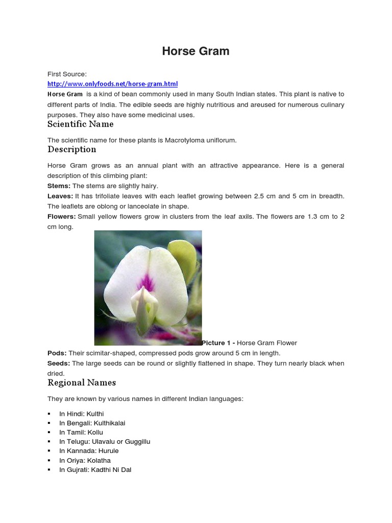 Horse Gram Scientific Name Description