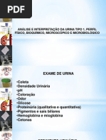 Análise e Interpretação da Urina Tipo 1