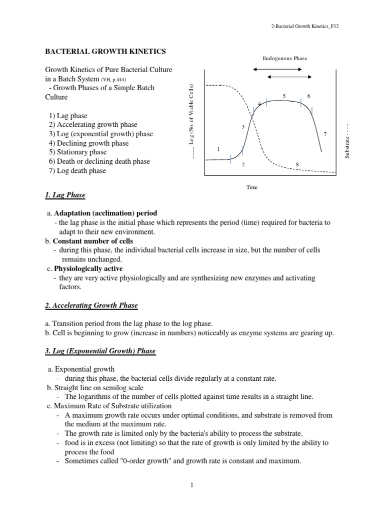 Bacterial Growth PDF Cell Growth Enzyme