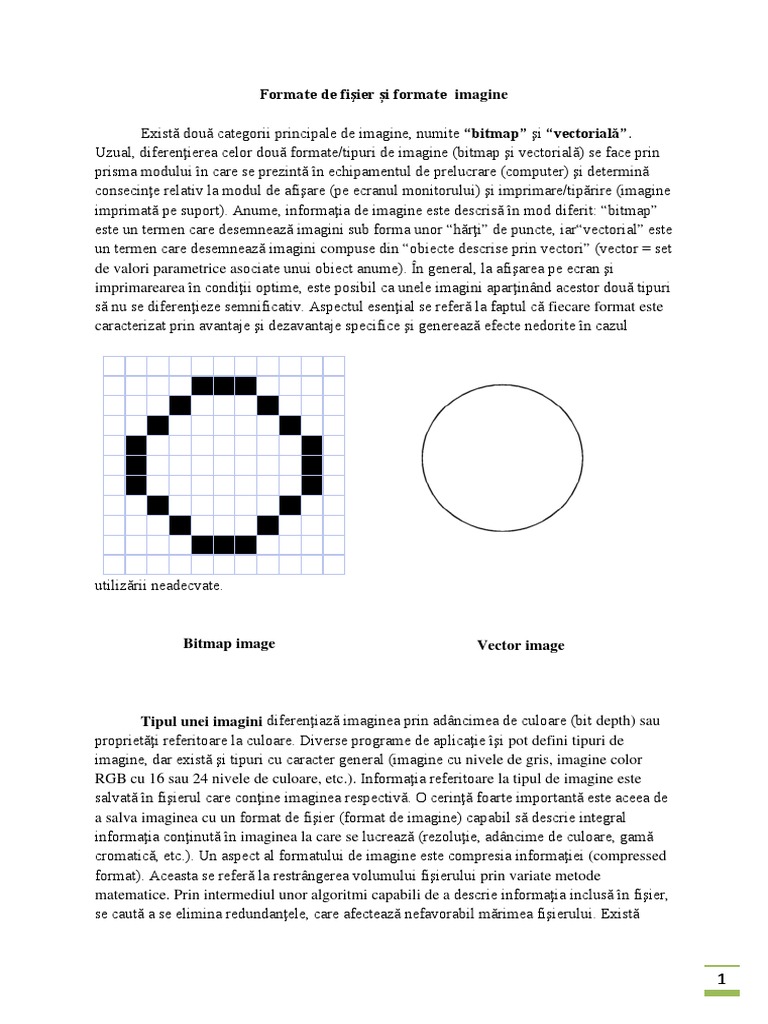 Formate de Fişier Și Formate de Imagine | PDF