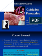 1.Atencion y Cuidados Prenatales