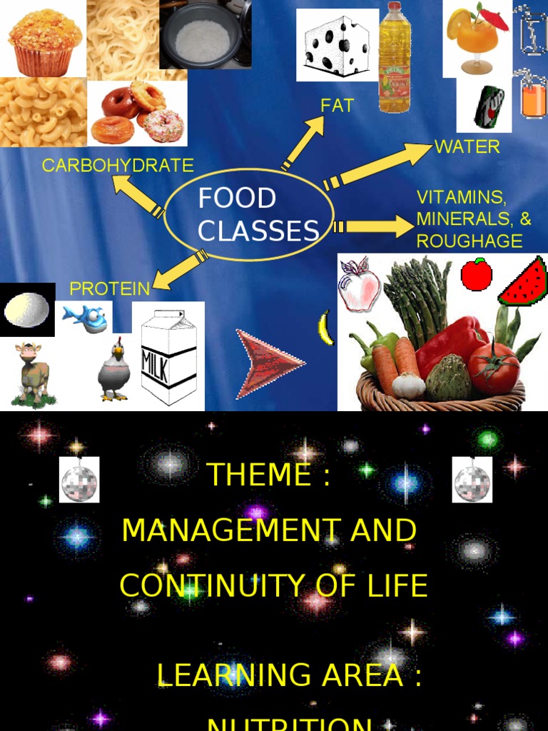 Food Classes: Minerals, Water, and Roughage | PDF | Digestion | Human ...