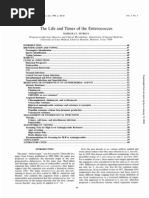 Download Life and Times of Enterococcus by januszst SN19523353 doc pdf