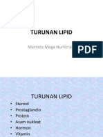 Turunan Lipid