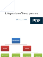3. Regulation of Blood Pressure