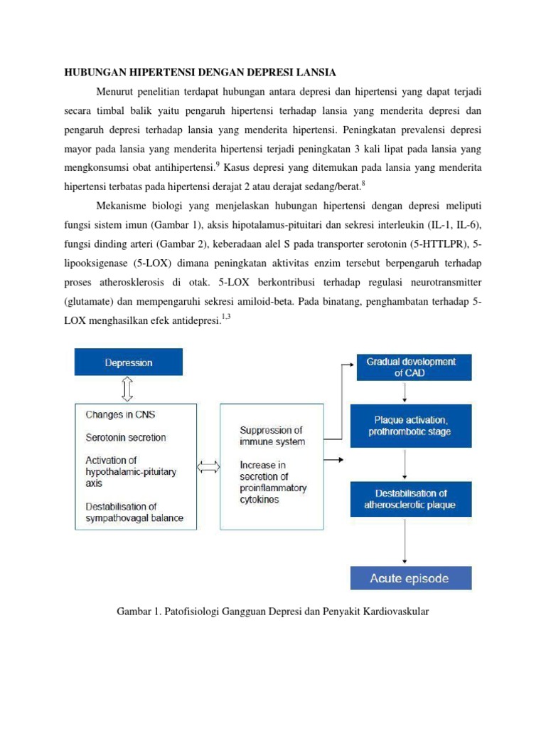Determinan Hipertensi Dalam Lanjut Usia