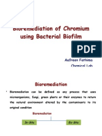 Bioremediation of Chromium Using Bacterial Biofilm: Aafreen Fathima Chemical Lab