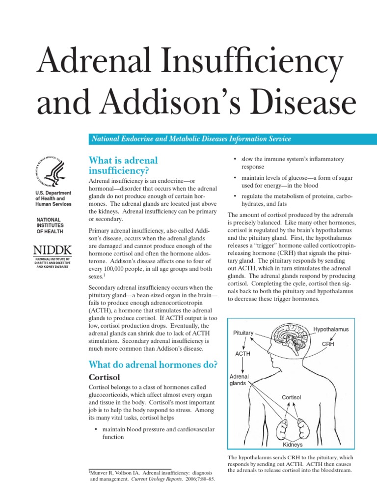 Adrenal Insufficiency and Addison's Disease | PDF | Adrenal Gland ...