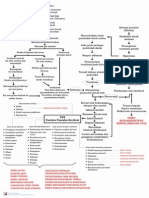 Pathway Stroke, CVA - Pabrik Pathway