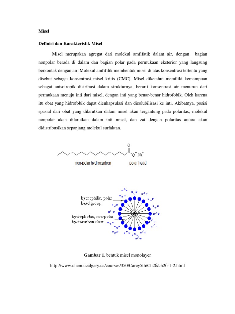 Karakteristik dan Definisi Misel Polimer | PDF | Sains & Matematika
