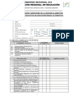 Ficha de Supervision Directores