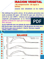 Transpiracion Vegetal