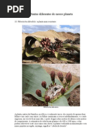 Plantas Diferentes Do Nosso Planeta