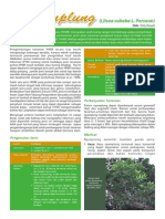 Nyamplung Flyer PDF