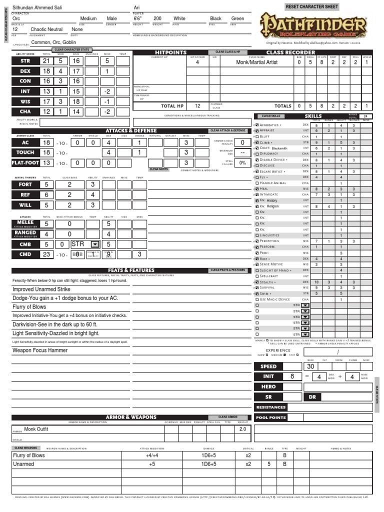Pathfinder Character Sheet Template | PDF