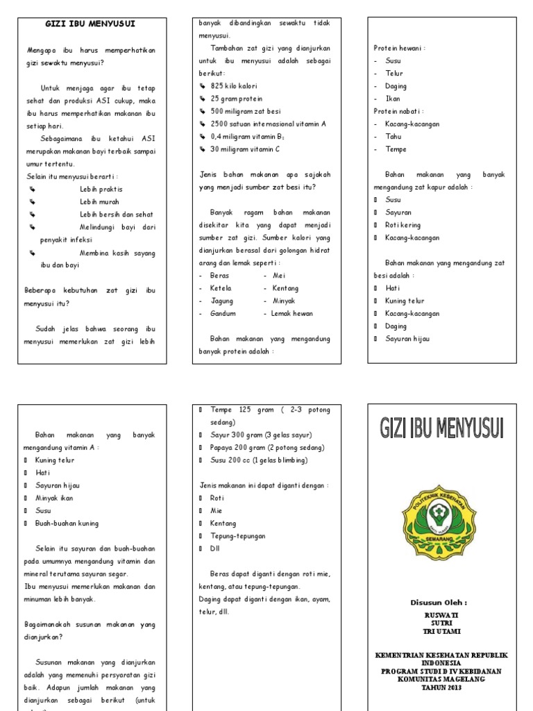Leaflet Gizi Ibu Menyusui doc