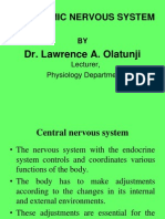 Autonomic Nervous System: Dr. Lawrence A. Olatunji