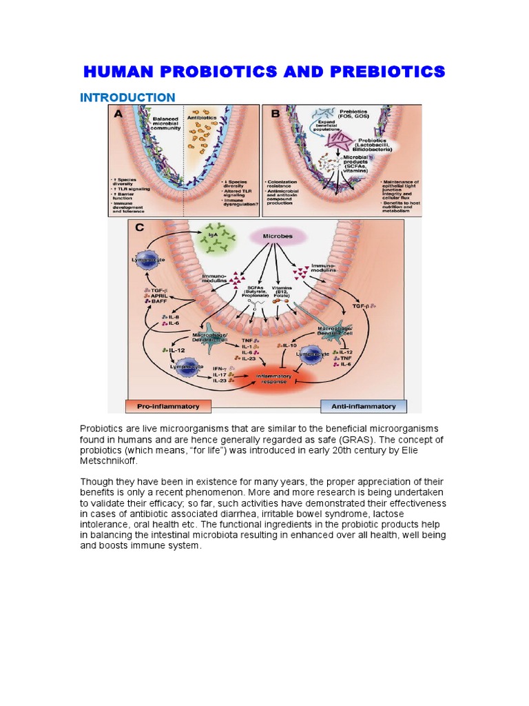 Human Probiotics and Prebiotics | PDF | Probiotic | Lactobacillus