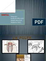 Bioquimica Dental (2) - Copia