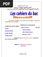 Souvenir Francais Nostalgie Sentiment Bonheur