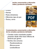 Clase 9 Cereales PDF