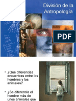 División de La Antropología