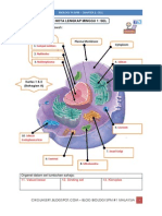 Nota Biologi SPM Pertama - Sel