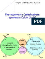 Photosynthetic Carbohydrate synthesis (Calvin Cycle) : Lectured by Dr. Qin Yongmei (秦咏梅) :Nov. 28, 2007