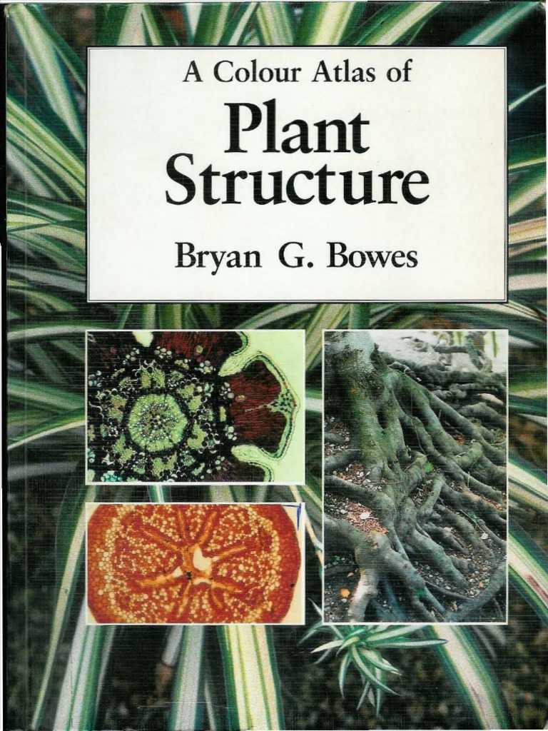 A Colour Atlas of Plant Struct | PDF | Mitosis | Plant Stem