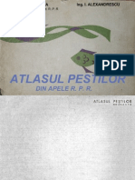 Pestii Din Romania 1963